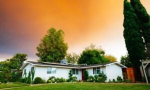 Real Estate Investment